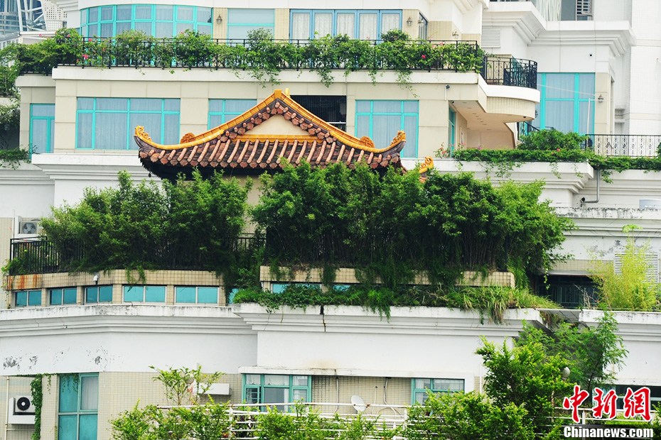 深圳現(xiàn)樓頂“廟宇” 政府部門介入調(diào)查