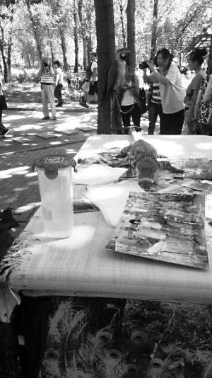 北京野生動(dòng)物園把鱷魚(yú)嘴捆住供游客拍照(圖)