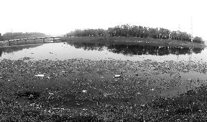 北京出臺濕地保護辦法:挖野菜撿鳥蛋最高罰五千