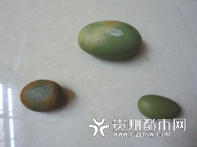 大山深處尋得3顆夜明珠