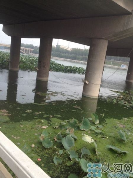 禹州九歲男童遍體刀傷致死 母親當場精神失常