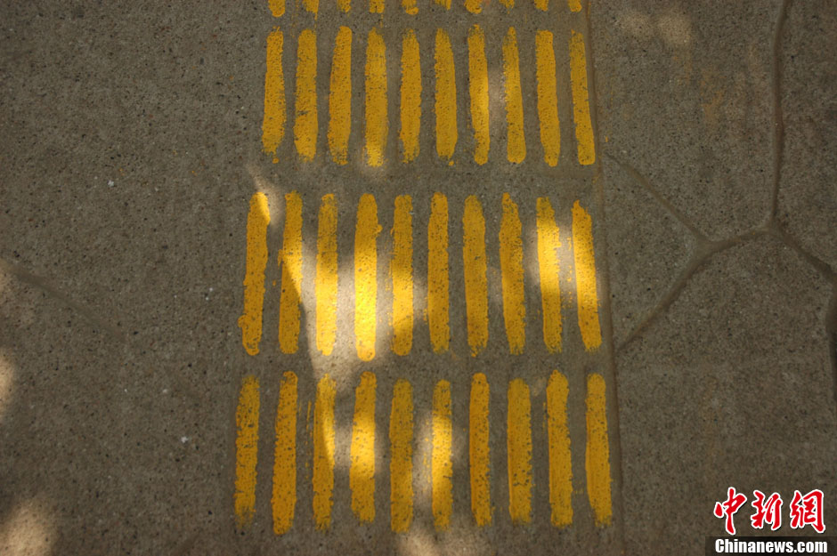廣西柳州街頭盲道“被磨平” 油漆繪制進行翻新