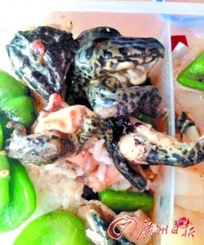 食堂又現(xiàn)奇葩菜！華工食堂帶皮田雞很嚇人(圖)