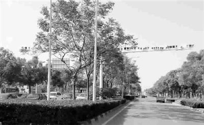 馬路安裝50只探頭 公司稱(chēng)“實(shí)驗(yàn)”警方未回應(yīng)