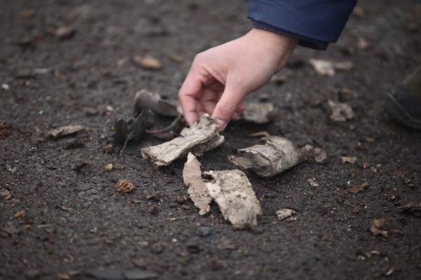 河南連霍大橋垮塌致10死 9個(gè)月未公布處理結(jié)果