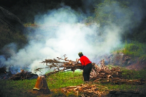 城市化留下農(nóng)村無人照看老人:兒女只在墻上留下電話