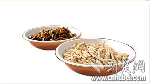 高校開昆蟲宴吃光50斤蟲子 教授帶頭吃蛆