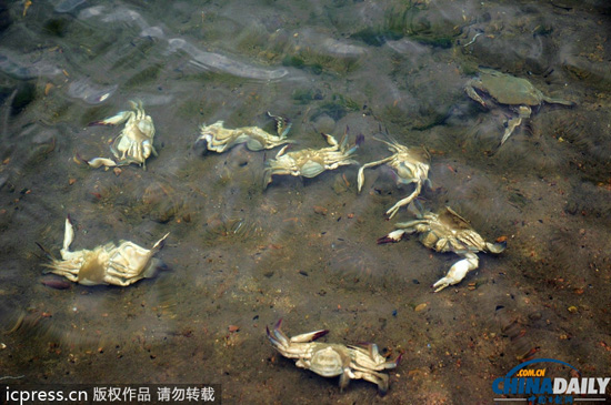 安監(jiān)總局:青島燃爆事故暴露應(yīng)急處置不力等問題