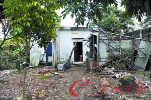 廣東一老人死家中近1年被發(fā)現(xiàn) 村民疑其被餓死