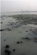 民間環(huán)保組織:27家蘋果供應(yīng)商涉嫌違規(guī)排放