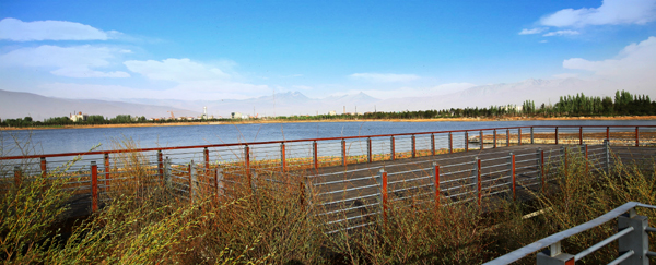 昔日華北煤都 今日生態(tài)花園 ——大同市致力生態(tài)建設(shè)改善人居環(huán)境