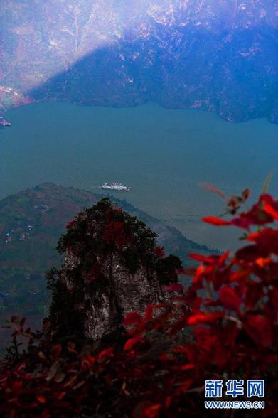 又到三峽紅葉時(shí)