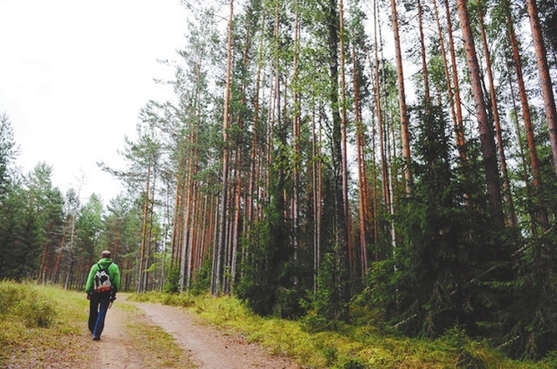到愛沙尼亞去“洗洗肺”