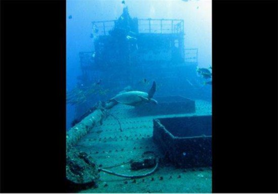 一船裝5萬枚金幣 探秘全球各地沉船寶庫(kù)！