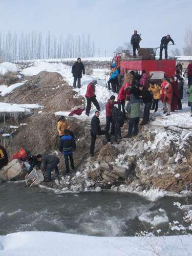 春節(jié)放生祈福 1.6噸鯉魚游進伊犁河