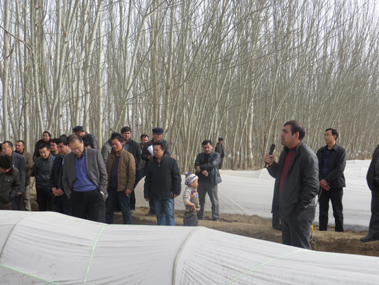 將“雙膜”種植技術進行到底