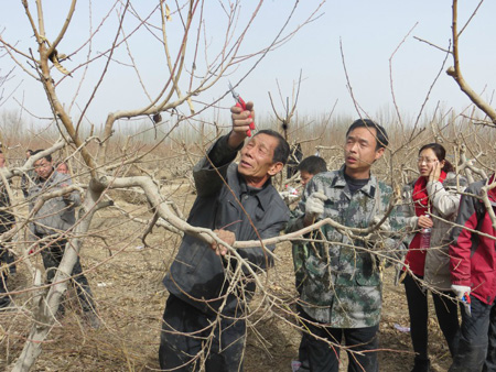 一堂深刻轉(zhuǎn)變作風(fēng)的“勞動課”