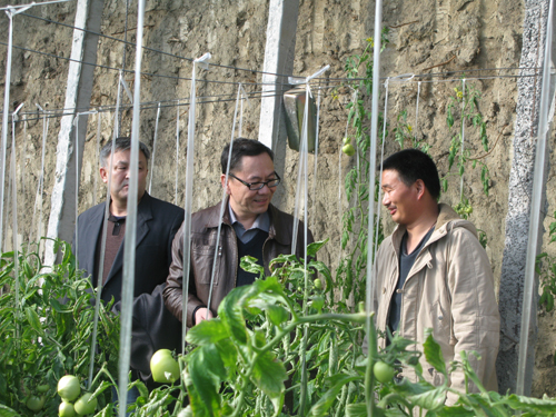 “科技播火”為和布克賽爾農(nóng)牧民再添致富之火