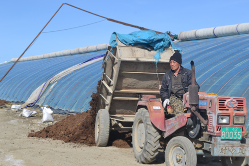 溫室大棚助農(nóng)增收 莫特格鄉(xiāng)積極鼓勵農(nóng)民經(jīng)營設(shè)施農(nóng)業(yè)