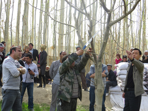 葉城縣烏吉熱克鄉(xiāng)吹響春季“沖鋒號”