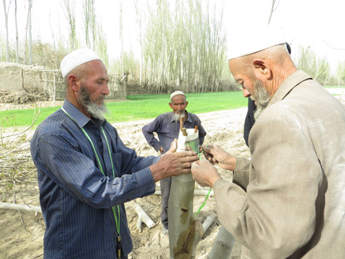 葉城縣烏吉熱克鄉(xiāng)吹響春季“沖鋒號”