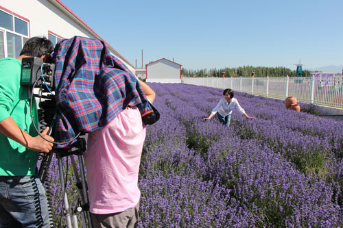 “父親節(jié)”慰問探班電影《好運(yùn)特克斯》拍攝劇組