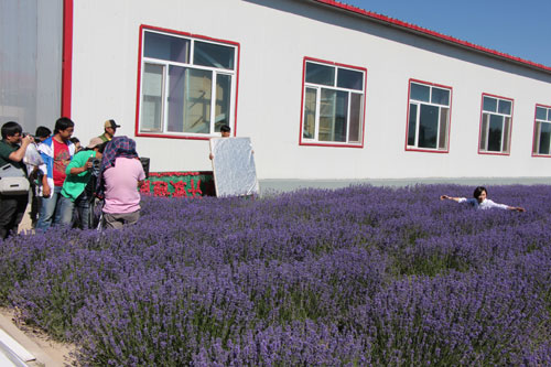 “父親節(jié)”慰問探班電影《好運(yùn)特克斯》拍攝劇組