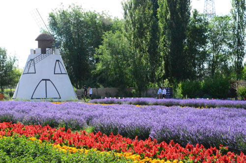 中國•霍城第三屆薰衣草旅游節(jié)開幕