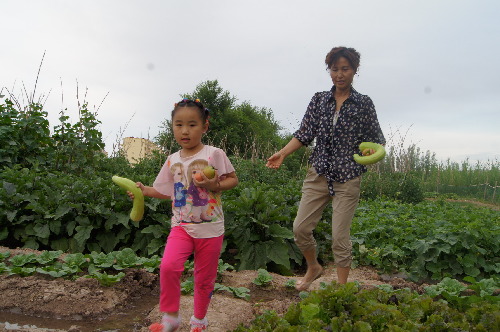 新疆兵團第六師共青團農場旅游業(yè)大放光彩