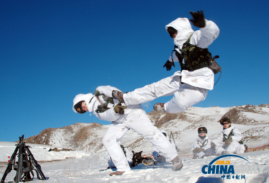 雪域衛(wèi)士以忠誠喜迎元旦佳節(jié)