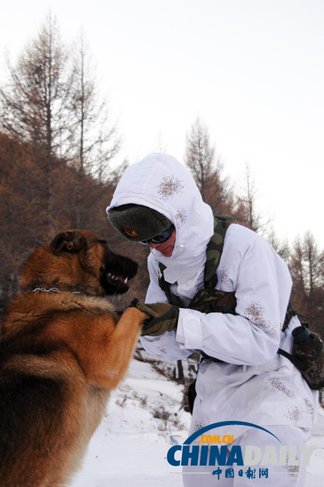 雪域衛(wèi)士以忠誠(chéng)喜迎元旦佳節(jié)