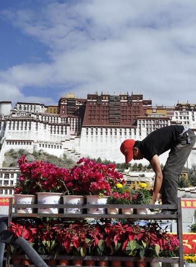 六萬(wàn)盆鮮花裝點(diǎn)節(jié)日拉薩