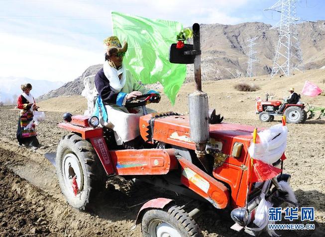 雪域高原春耕忙