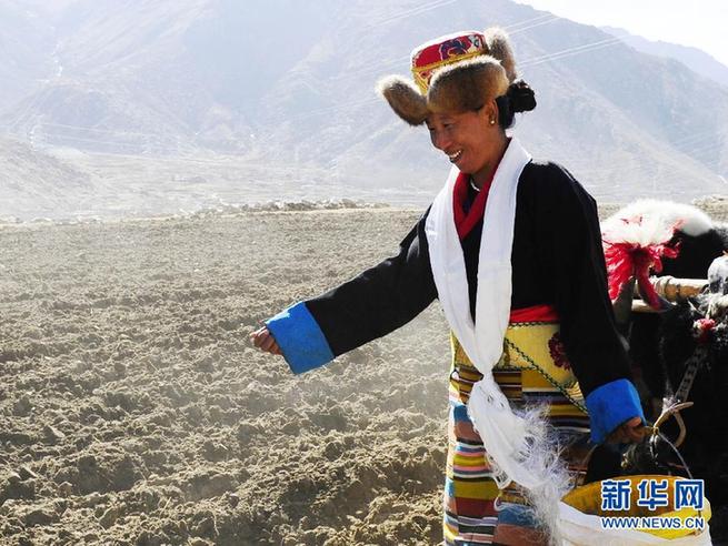 雪域高原春耕忙