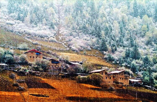 邂逅馬爾康今冬第一場雪 自駕游Tips