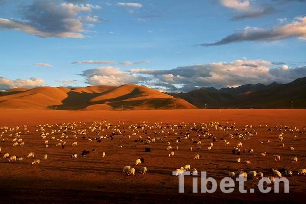 盤點2014:發(fā)現(xiàn)最美西藏之風光篇