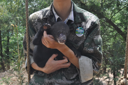 小熊被棄 人類奶爸用心呵護它