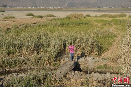 持續(xù)干旱致云南60萬(wàn)人受災(zāi) 部分地區(qū)4年連旱