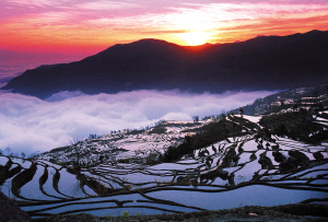 成為世界文化遺產(chǎn)后 元陽(yáng)哈尼梯田走向何方