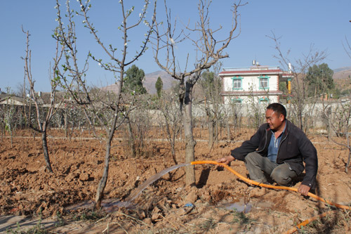 干旱致昆明東川區(qū)農(nóng)作物損失500余萬