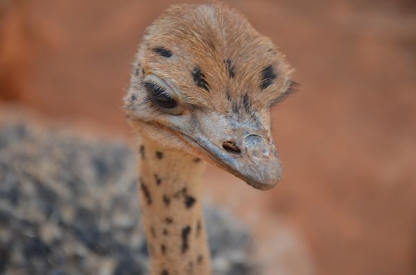 誰(shuí)去參加五一巡游 誰(shuí)去和小朋友一起過(guò)五一 市民來(lái)選！