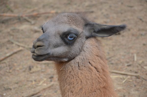 誰(shuí)去參加五一巡游 誰(shuí)去和小朋友一起過(guò)五一 市民來(lái)選！