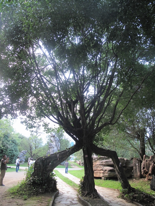 走進中國離印度洋最近的城市——芒市
