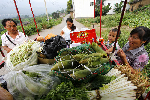 云南巧家農(nóng)民郭從順開流動(dòng)蔬菜車進(jìn)村方便農(nóng)村群眾