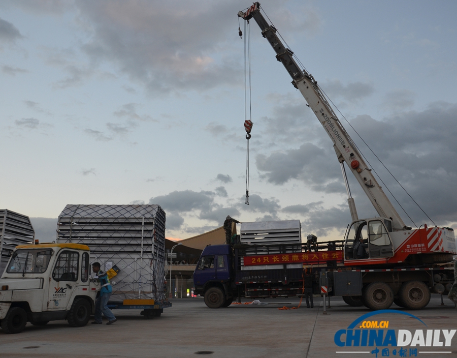 23位南非“高富帥” 昨日長水機(jī)場落地