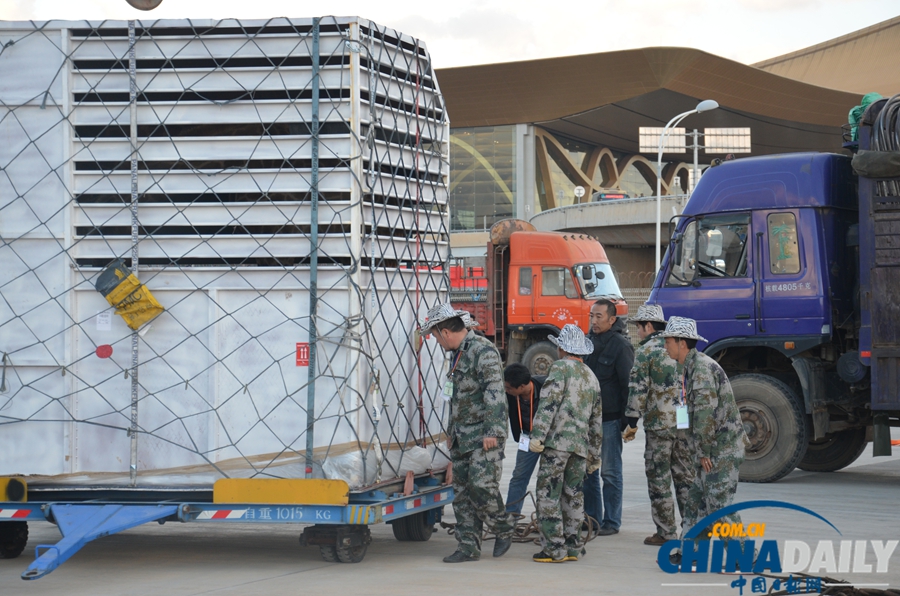 23位南非“高富帥” 昨日長水機場落地