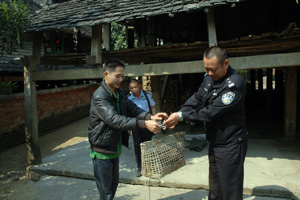 云南省景洪市放生國家二級保護野生動物