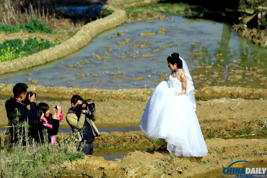 云南元陽自駕攝影之旅：哈尼梯田三月春夢幻