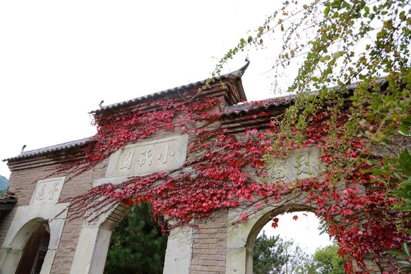 “中國(guó)好空氣”全國(guó)網(wǎng)絡(luò)媒體訪千年古縣松陽(yáng)