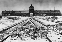 Auschwitz survivors recall the horror 60 years on
